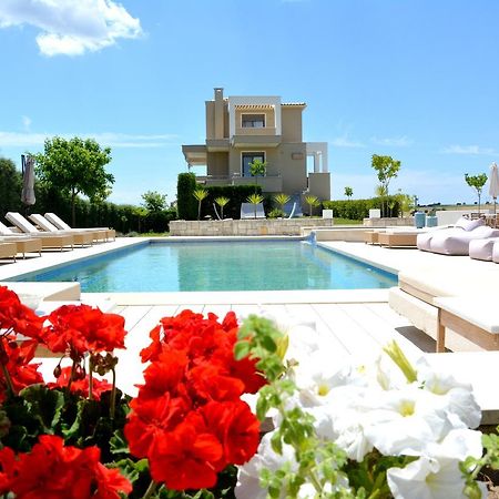 Niovi Boutique Apartments 아피토스 외부 사진